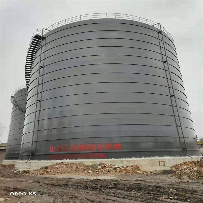 郴州3万吨大型钢板库